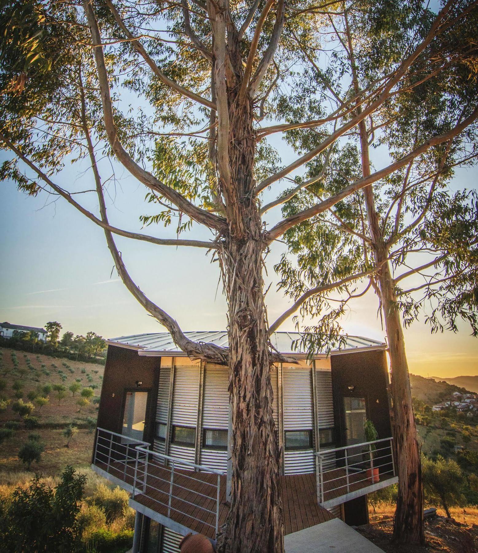 Bela Vista Silo Housing Villa Alfandega Da Fe Luaran gambar